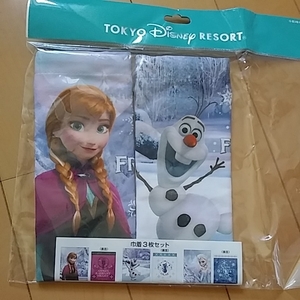 アナと雪の女王　フローズンファンタジー　ディズニーランド　巾着　新品