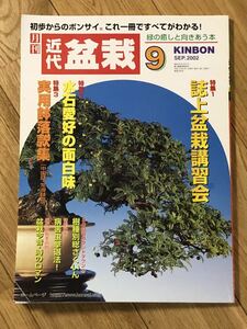 ■雑誌「近代盆栽」2002年9月号