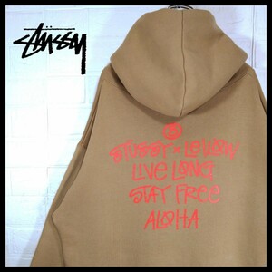 【STUSSY】80s