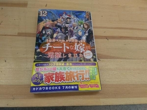 異世界でスキルを解体したらチートな嫁が増殖しました(12) 千月さかき