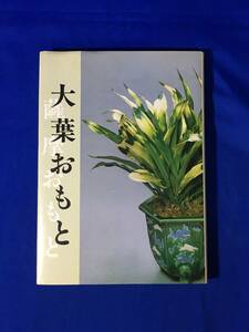 CL1381m●「大葉おもと 薩摩おもと」 誠文堂新光社 昭和59年2刷