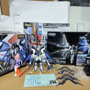 RG 1/144 プレバン 限定 ストライクフリーダム ガンダム 天空の翼 拡張ユニット 完成品 SEED キラ フィギュア ジャンク ガンプラ 光の翼