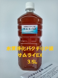 【バクテリア本舗 製造元】サムライEX [3.5L]高濃度水質浄化バクテリア液(らんちゅう,めだか,グッピー,金魚,錦鯉,シュリンプ,海水魚）