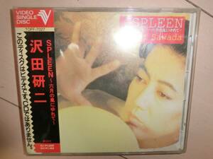 希少品、沢田研二、ジュリーのSPLEEN~六月の風にゆれて～VSDです。