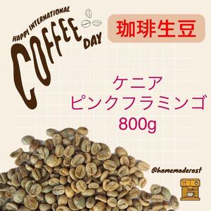 コーヒー生豆　ケニアピンクフラミンゴ800g