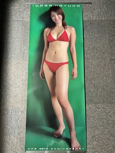 『岩佐真悠子 赤ビキニ 週刊プレイボーイ 等身大ポスター180cm×63cm』