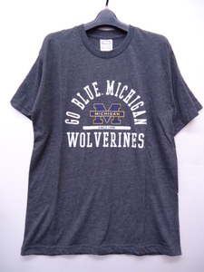 【KCM】XEB-F862-L★新品★【AMERICAN FRESHMAN】メンズ　COLLEGE 半袖Tシャツ　L　グレー