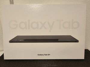 Samsung Galaxy Tab S9+ グラファイト 256GB ケース＆フィルム付き