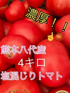 熊本八代　塩混じりトマト訳あり　箱込み4キロクール便