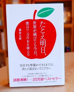 瀧森古都　たとえ明日、世界が滅びても 今日、僕はリンゴの木を植える　SBクリエ一ティブ2017初版