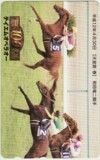 テレカ テレホンカード Gallop100名馬 テイエムオペラオー UZG01-0222