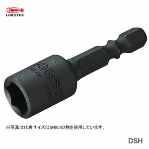 〈ロブテックス〉ストロック　ヘクスナッター用　DSH8 【オススメ】