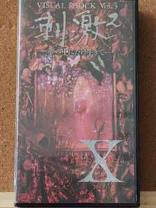VHSビデオ　刺激2〜夢の中にだけ生きて　X-Japan