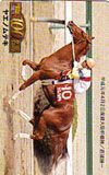 テレカ テレホンカード Gallop100名馬 ヤエノムテキ UZG01-0177