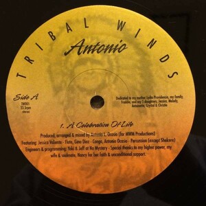 即決 Antonio / A Celebration Of Life 12inch Restless Soul Remix UK PAN 003 DEEP HOUSE
