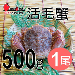 【かにのマルマサ】北海道産 活毛ガニ500g 1尾セット
