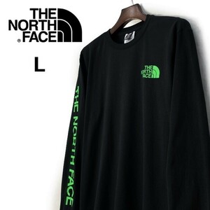 1円～!売切!【正規新品】THE NORTH FACE◆L/S HIT GRAPHIC TEE 長袖 Tシャツ ロンT US限定 2023最新 袖ロゴ 男女兼用(L)黒 180902-23