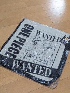 新品★非売品 ONEPIECE　ワンピース　スクエア　ショルダーバック　火拳のエース　手配書　