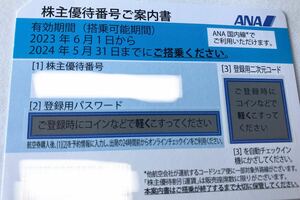 ANA株主優待券　1枚　※5月31日ご搭乗分まで