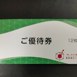 極楽湯ホールディングス株主優待券12枚+フェイスタオル引換券1枚 2024年11月30日期限 