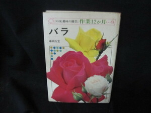 NHK趣味の園芸作業12か月　バラ　シミ有/VDZB