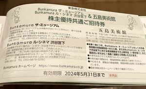 ● 渋谷ル・シネマ鑑賞券 パスト ライブス 再会 Bunkamuraミュージアム 東急株主