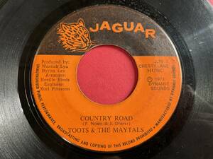 TOOTS & THE MAYTALS / COUNTRY ROAD & LOUIE LOUIE REGGAE 45 BIG HIT　人気盤 試聴