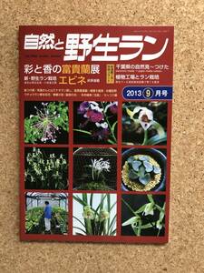 自然と野生ラン 2013年9月号　富貴蘭 春蘭 エビネ ※ 園芸JAPAN