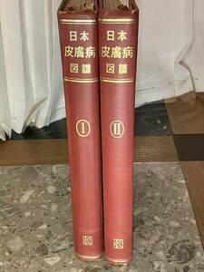 日本皮膚病図譜 2巻 金原出版 図説皮膚疾患講座 臨床皮膚科全書 医療本 