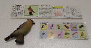 チョコエッグ　日本の動物コレクション　キレンジャク