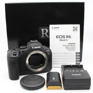 ★極上品★Canon EOS R6 Mark II ボディ ショット数4000以下★4830