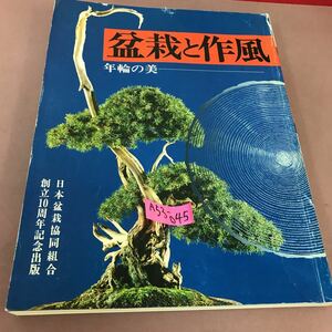 A53-045 年輪の美 盆栽と作風 創立10周年記念出版 日本盆栽協同組合編 破れあり