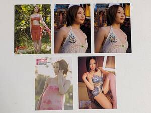 杏さゆり オフィシャル トレーディングカード トレカ 5枚 ハイパーシリーズ～LADY～ 2008年