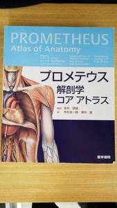 プロメテウス　解剖学コア　アトラス　監訳　坂井建雄　訳　市村浩一郎　澤井　直　医学書院