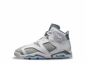 Nike GS Air Jordan 6 "Cool Grey" 24.5cm 384665-100