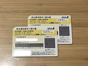 【送料無料】最新 24年11月末まで有効　ANA全日空　株主優待券2枚