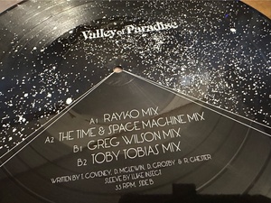 12”★Psychemagik / Valley Of Paradise / ディープ・ディスコ・ハウス！Toby Tobias / Greg Wilson / The Time & Space Machine