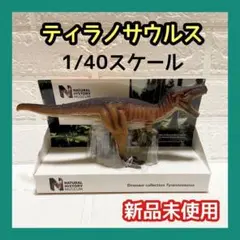 ポケットボンド 英国自然史博物館 ティラノサウルス 模型 フィギュア