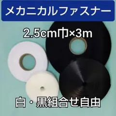 メカニカルファスナー　3m×2.5cm巾 のりなし　縫製タイプ 白・黒組合せ自由