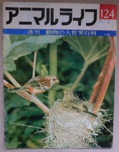 古書◆雑誌◆週刊アニマルライフ 第１２４号◆ホロホロチョウ◆ボンゴ◆ボンテボック◆マイコドリ◆マイマイガ◆マイマイカブリ◆マイルカ