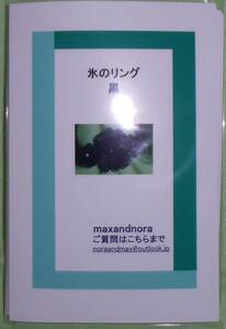 noraandmax のビーズキット　氷のリング　黒　画像の転用・転載は禁止です。noraandmaxヤフオク様出品中