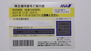 ANA株主優待券　１枚　有効期限2024年11月30日まで