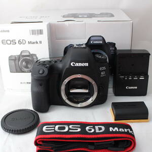 ☆新品級・ショット数801☆ Canon デジタル一眼レフカメラ EOS 6D Mark II ボディー EOS6DMK2 キヤノン #1928