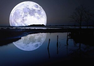 ビッグムーンと湖 湖面反射 満月 月 天体 神秘 癒し 絵画風 壁紙ポスター 特大A1版830×585mm（はがせるシール式）012A1