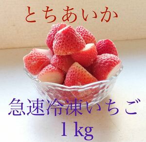 冷凍いちご 1kg とちあいか　栃木県産 苺　急速冷凍 完熟