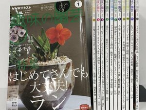 ▼　【計12冊 NHKテキスト趣味の園芸 2022年 1月号-12月号】167-02401