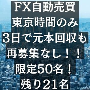 【残り21名です！再募集はしません】　赤鳥　FX自動売買ツール EA FX 自動売買 副業　バイナリー　稼げる　情報商材　アフィリエイト　物販