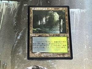 MTG 新緑の地下墓地/Verdant Catacombs エッチング・Foil 日 1枚迄