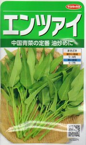 ●中国野菜●　　【エンツァイ】　サカタのタネ