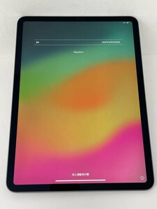 U234【ジャンク品】 iPad PRO 11インチ 256GB Wi-Fi スペースグレイ